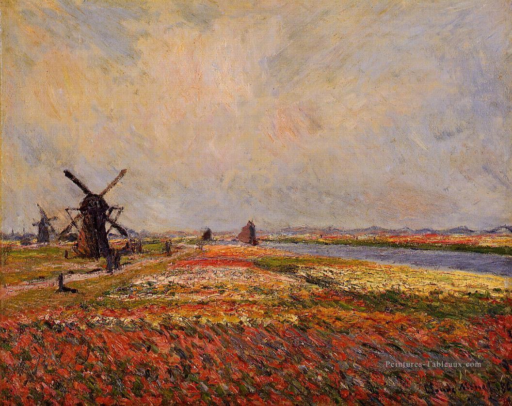 Champs de Fleurs et Moulins à Vent près de Leiden Claude Monet Peintures à l'huile